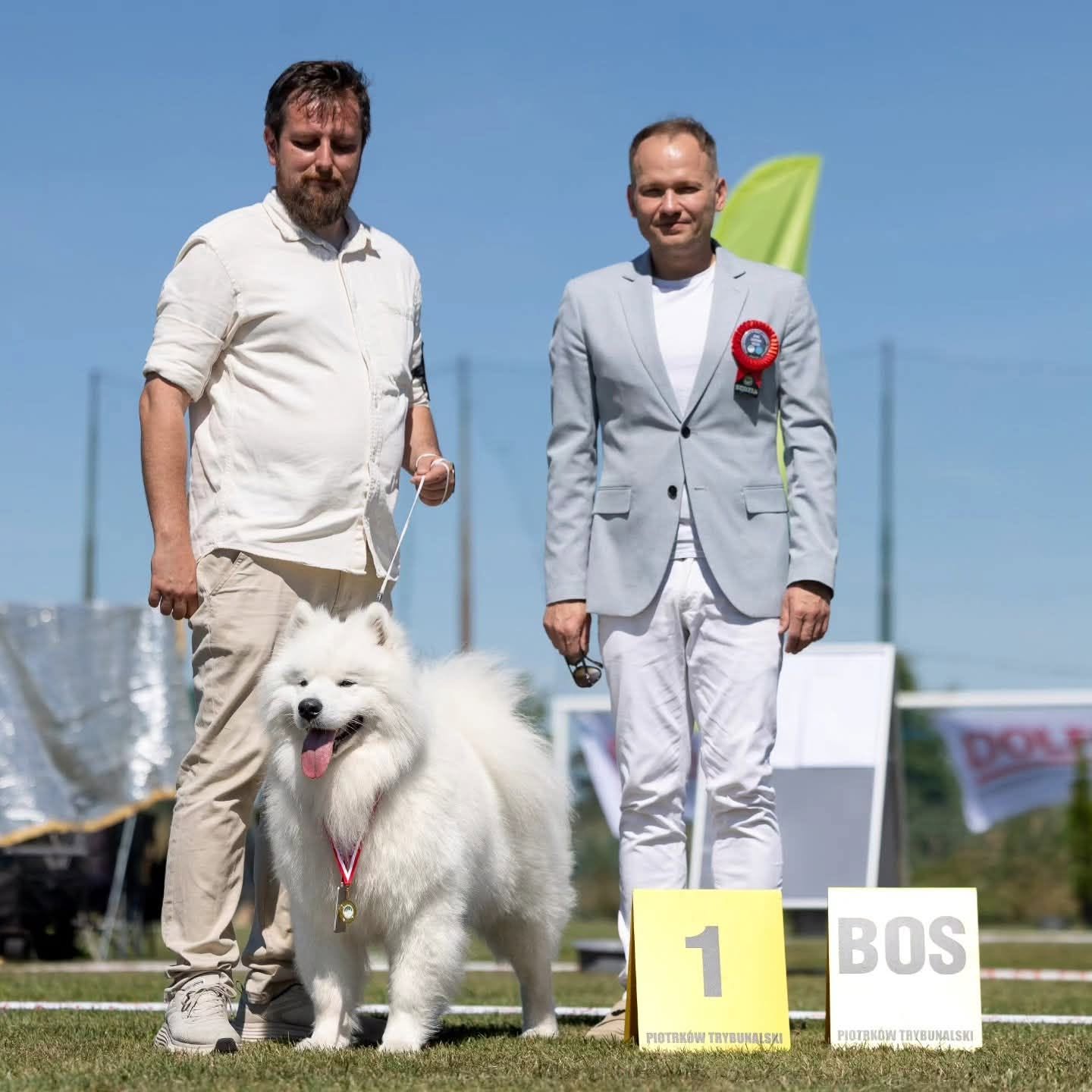 Gambit wygrywa CACIB na Wystawie ZKwP Odział Piotrków Trybunalski 