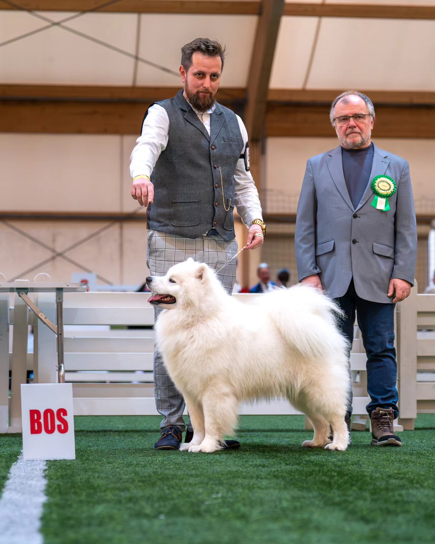 Sukcesy Gambita na Wystawie w Piasecznie