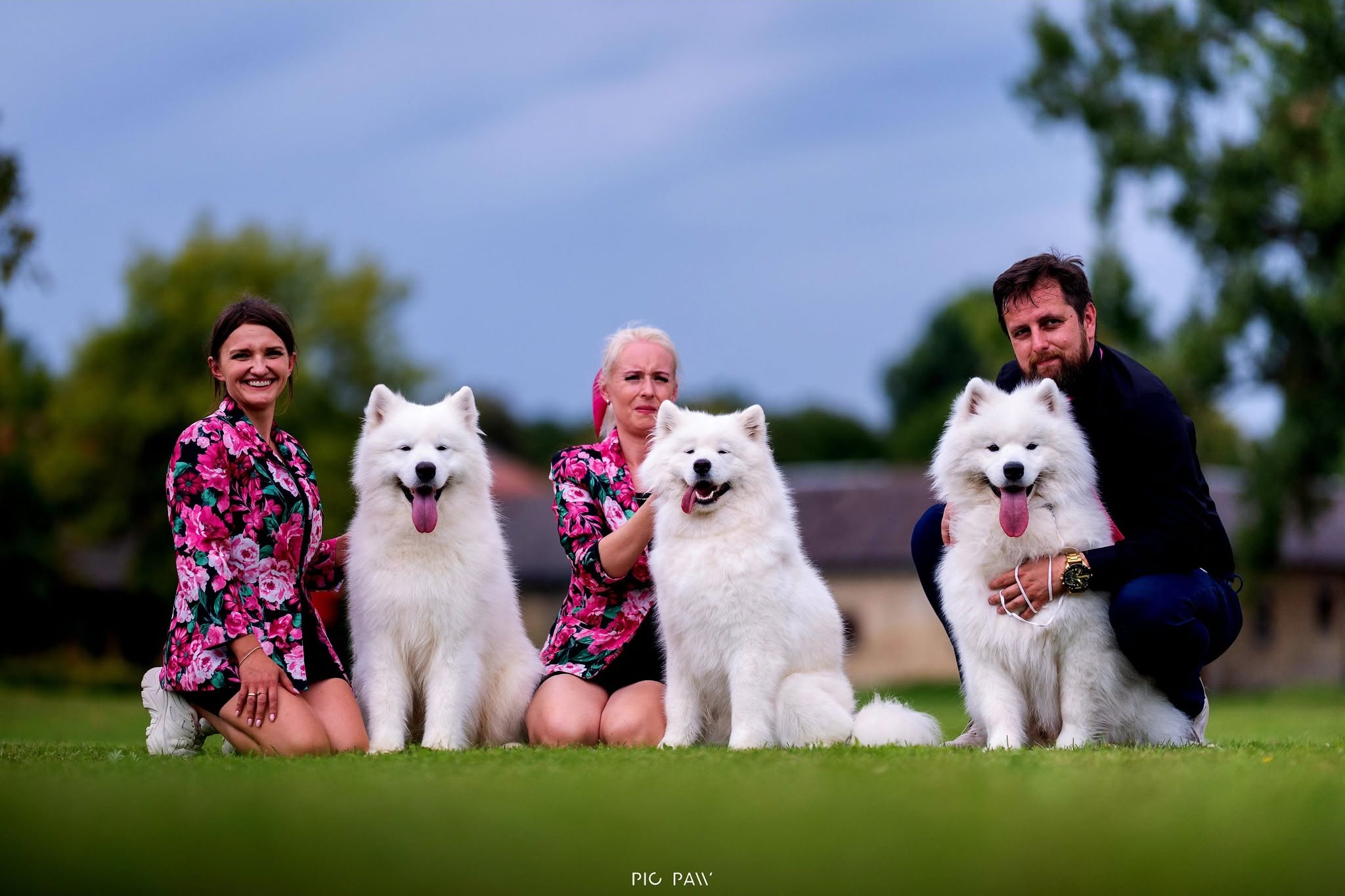 Mamy Najpiekniejsza Hodowle Samoyed - Wystawa Klubowa 2026!